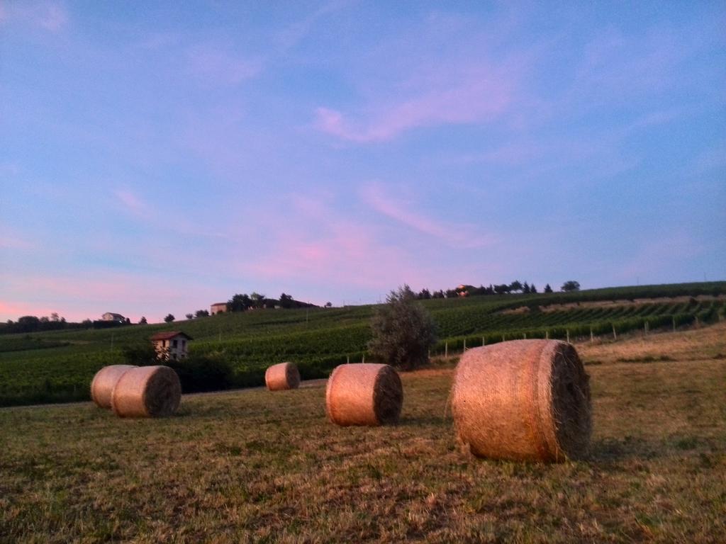 Ferienwohnung I Boidi Nizza Monferrato Exterior foto