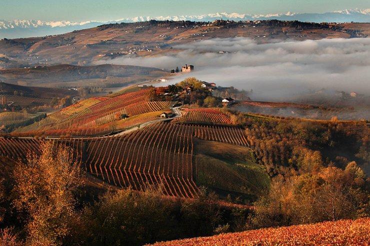 Ferienwohnung I Boidi Nizza Monferrato Exterior foto